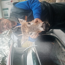 2023 Deer Hunting